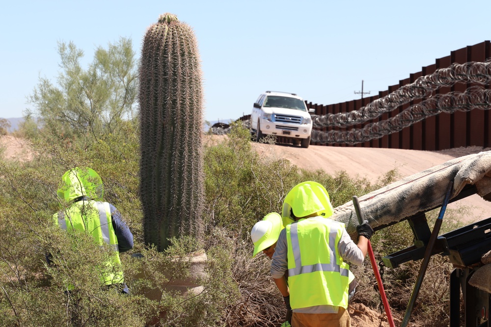 USACE Task Force Barrier relocates cacti in Organ Pipe Cactus National Monument