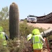 USACE Task Force Barrier relocates cacti in Organ Pipe Cactus National Monument