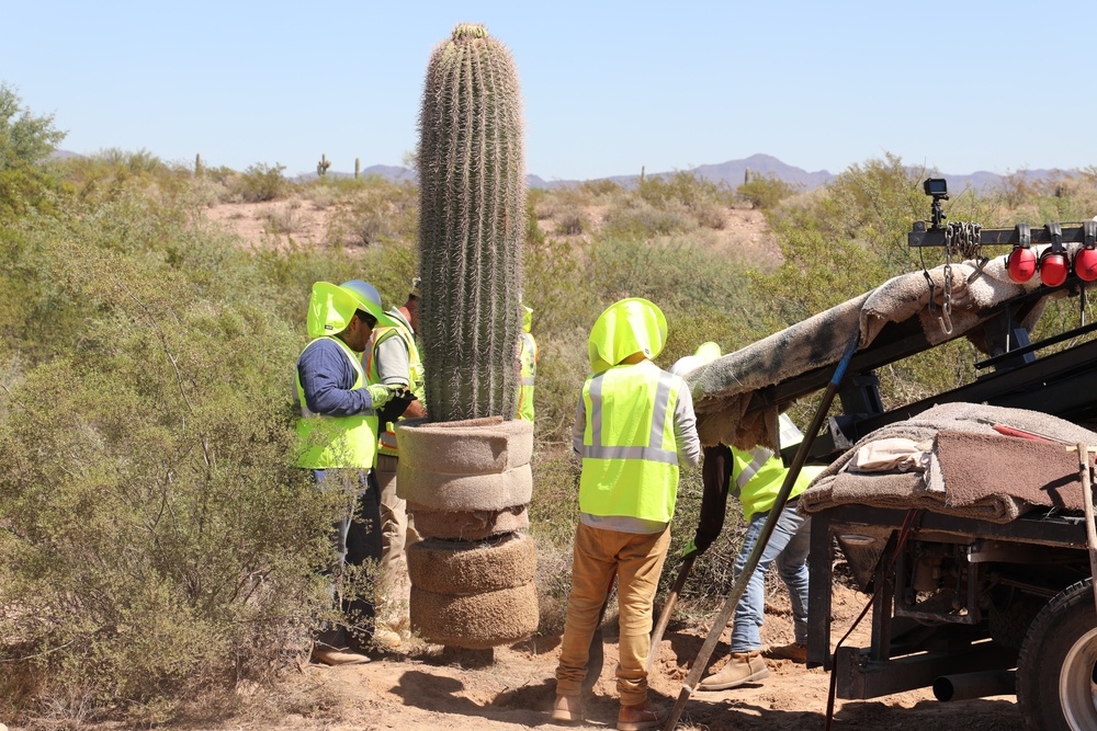 USACE Task Force Barrier relocates cacti in Organ Pipe Cactus National Monument