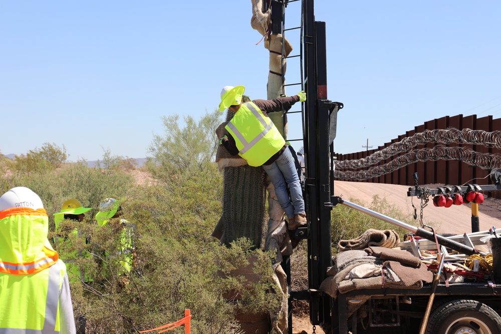 USACE Task Force Barrier relocates cacti in Organ Pipe Cactus National Monument