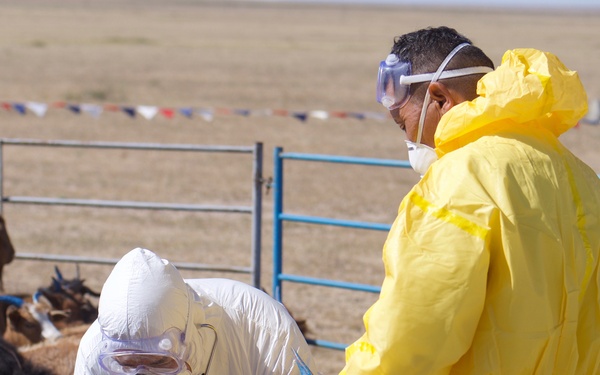 Gobi Wolf 2019 wraps up in Mongolia