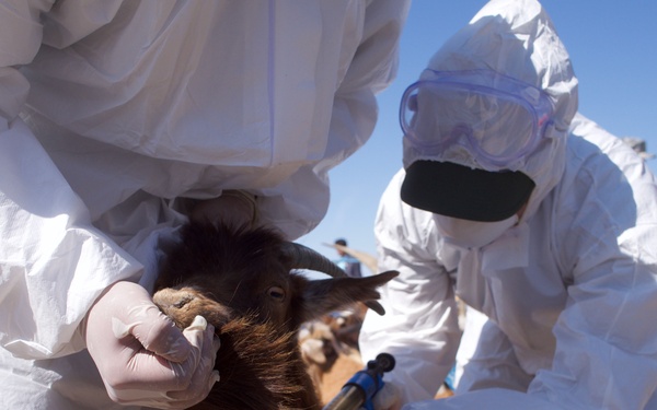 Gobi Wolf 2019 wraps up in Mongolia