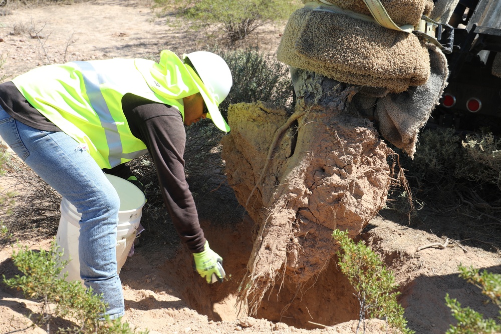 USACE Task Force Barrier relocates cacti in Organ Pipe Cactus National Monument