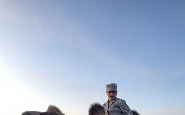 Midnight Sun Guardians participate in Gobi Wolf 2019