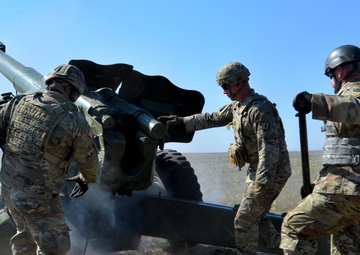 NC, Alabama Guard Complete Fire Shield 2019 in Moldova