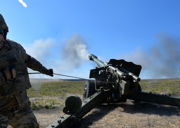 NC, Alabama Guard Complete Fire Shield 2019 in Moldova