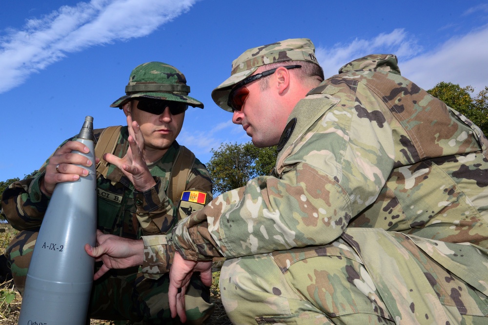 NC, Alabama Guard Complete Fire Shield 2019 in Moldova