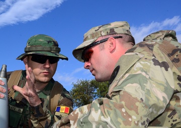 NC, Alabama Guard Complete Fire Shield 2019 in Moldova