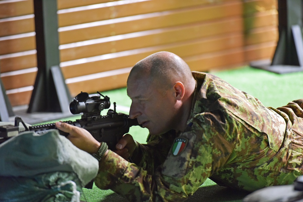 Italian Army Training at Vicenza, Italy.