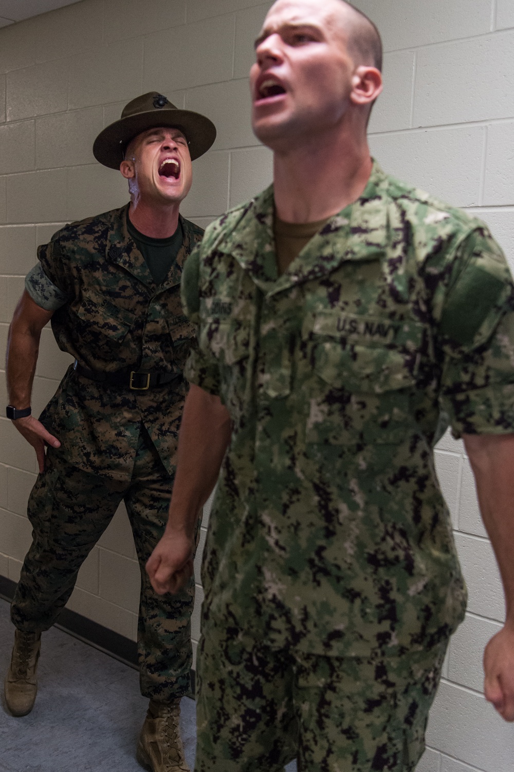 190926-N-TE695-0004 NEWPORT, R.I. (Sept. 26, 2019) -- Marine Corps Drill Instructors induces stress on Navy OCS student