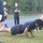 Have no fear, the new ACFT is near Have no fear, the new ACFT is near