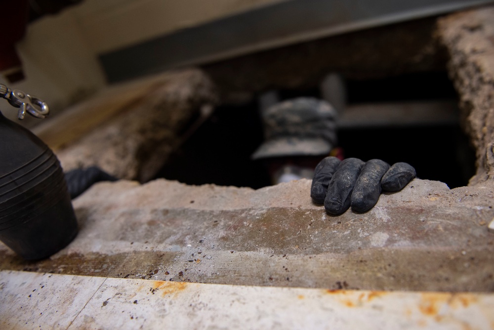 Entomology goes beneath the surface