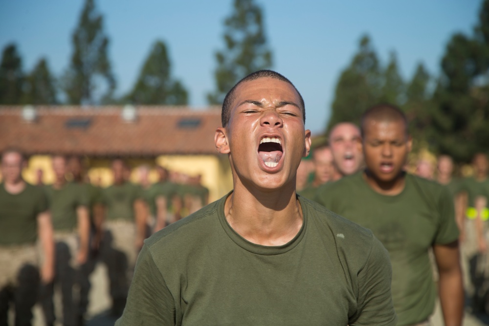 Delta Company Confidence Course