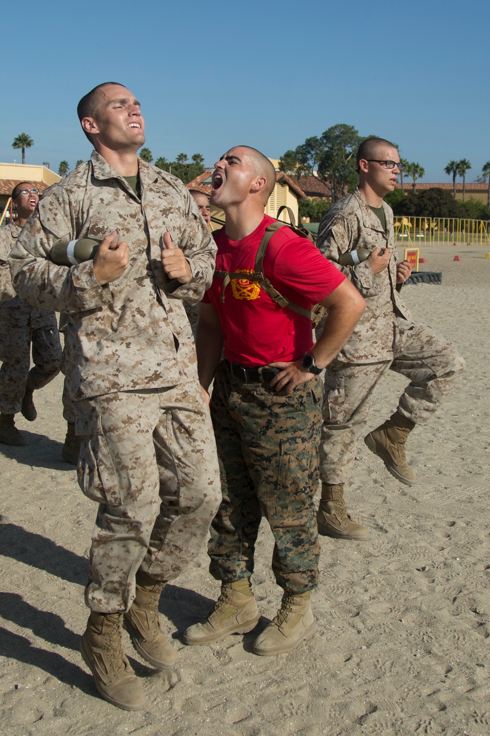 Delta Company Confidence Course