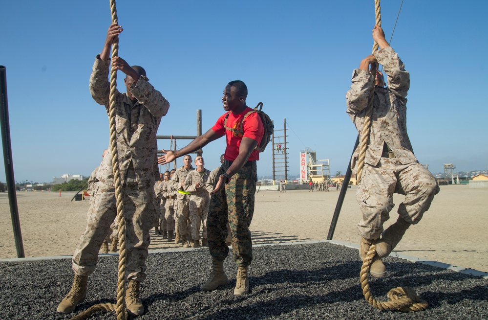 Delta Company Confidence Course