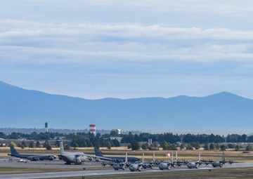 MG19 final "Elephant Walk"