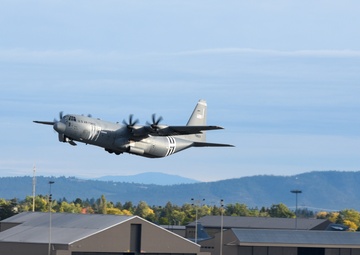 MG19 final "Elephant Walk"