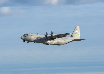 MG19 final "Elephant Walk"