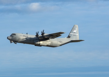 MG19 final "Elephant Walk"