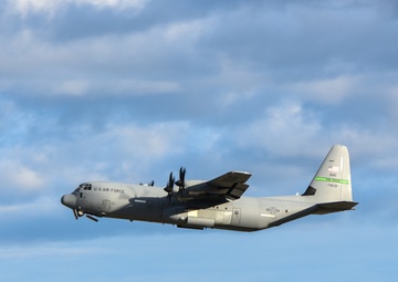 MG19 final "Elephant Walk"