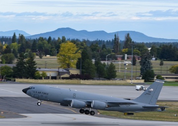 MG19 final "Elephant Walk"