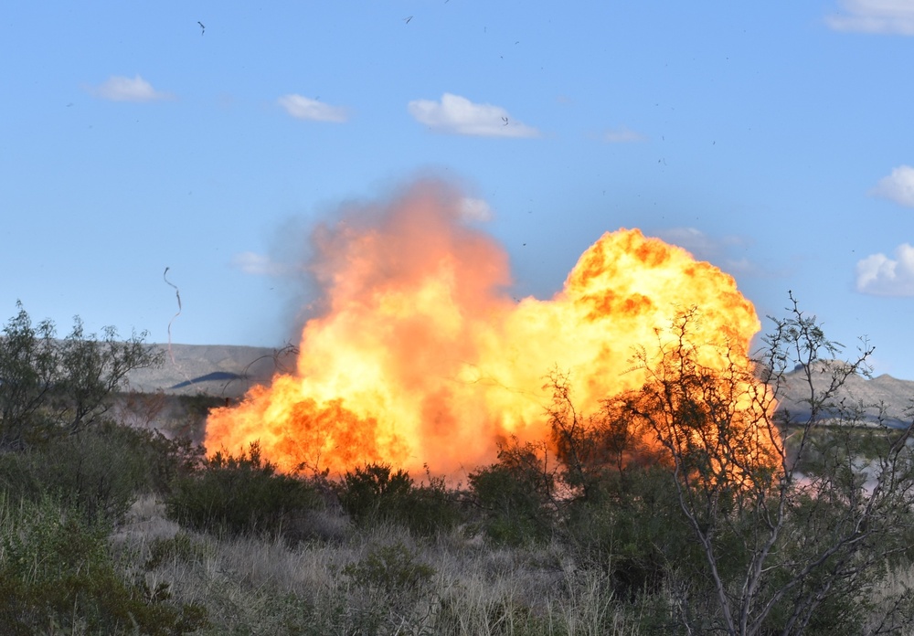 30th Armored Brigade Combat Team Sappers lead the way