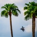 F-35 Demo Team practices demonstration at Luke AFB