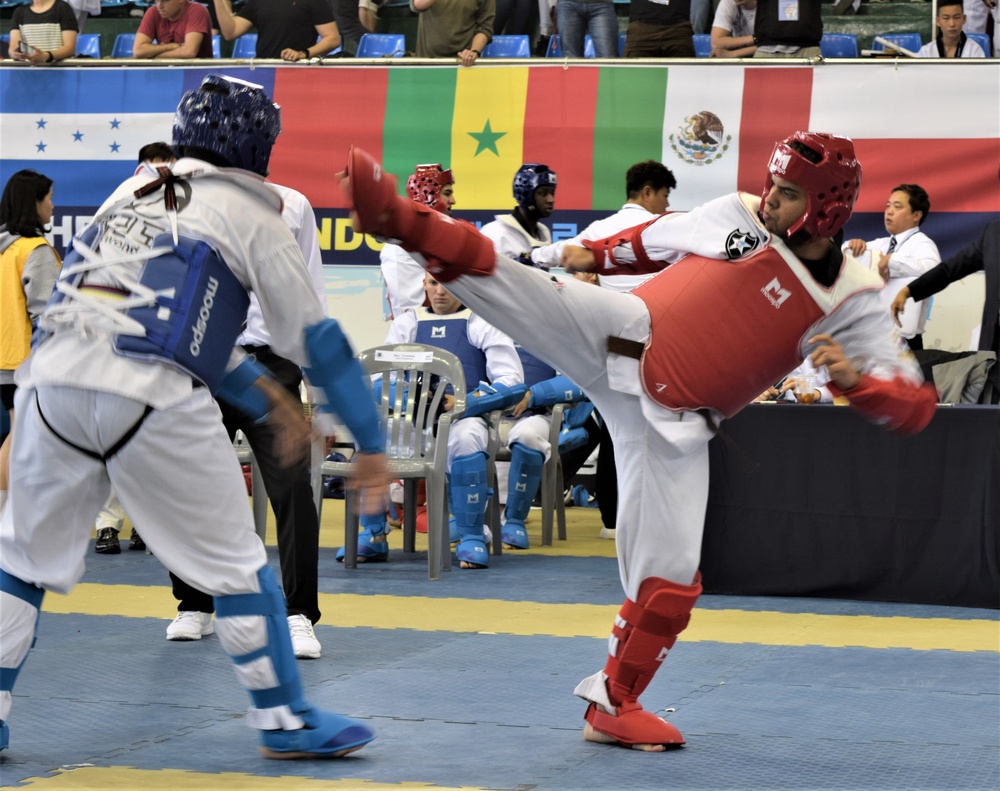 Soldiers kick it with fellow Taekwondo-ins at annual festival in Seoul