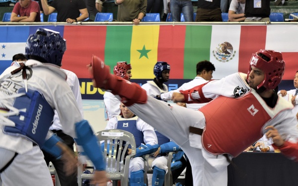 Soldiers kick it with fellow Taekwondo-ins at annual festival in Seoul