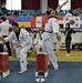 Soldiers kick it with fellow Taekwondo-ins at annual festival in Seoul