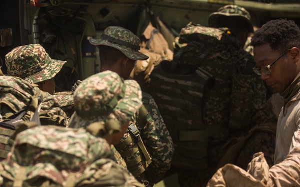 Marines, MAF conduct ship-to-shore movements for Tiger Strike 19