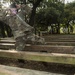 Air Assault Assessment