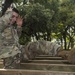Air Assault Assessment