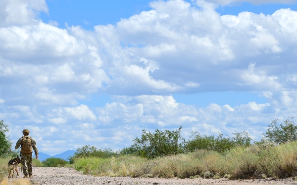 MWD: Partner in fighting crime