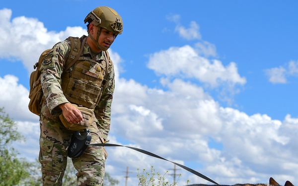 MWD: Partner in fighting crime