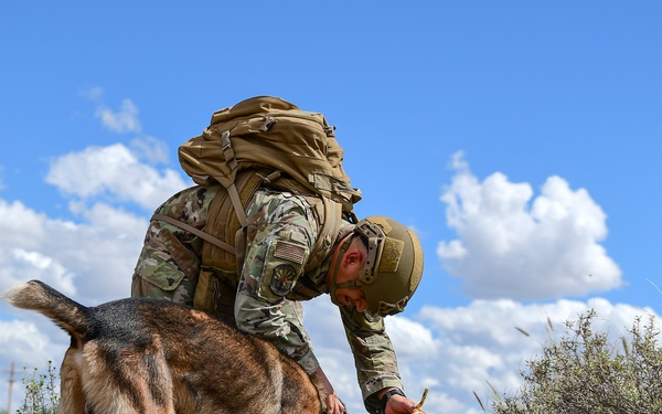 MWD: Partner in fighting crime