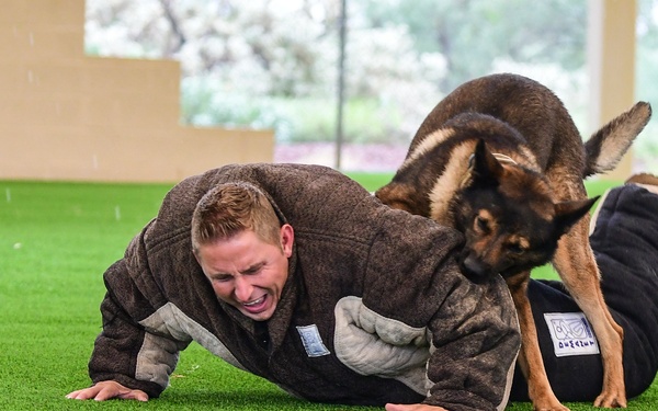 MWD: Partner in fighting crime