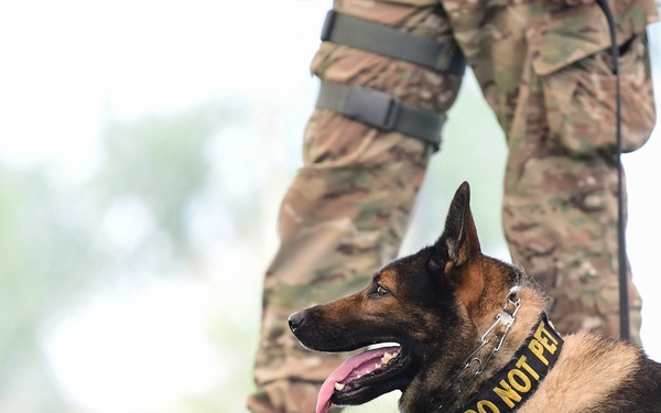 MWD: Partner in fighting crime