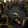 Tactical Combat Casualty Care