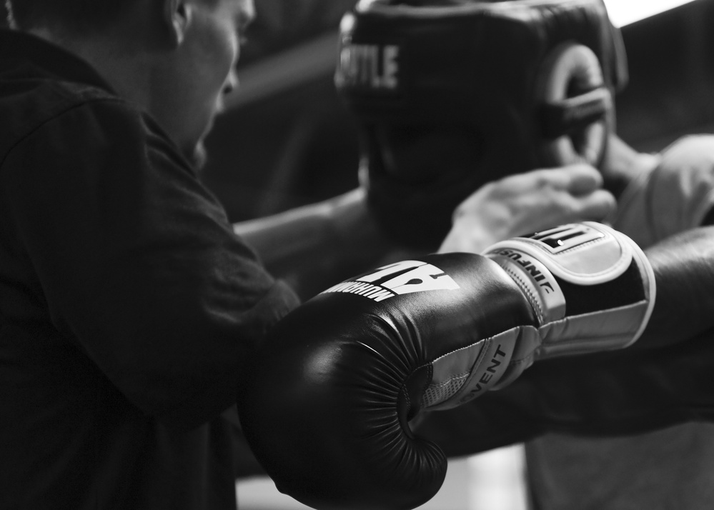 Allison returns to the ring for victory