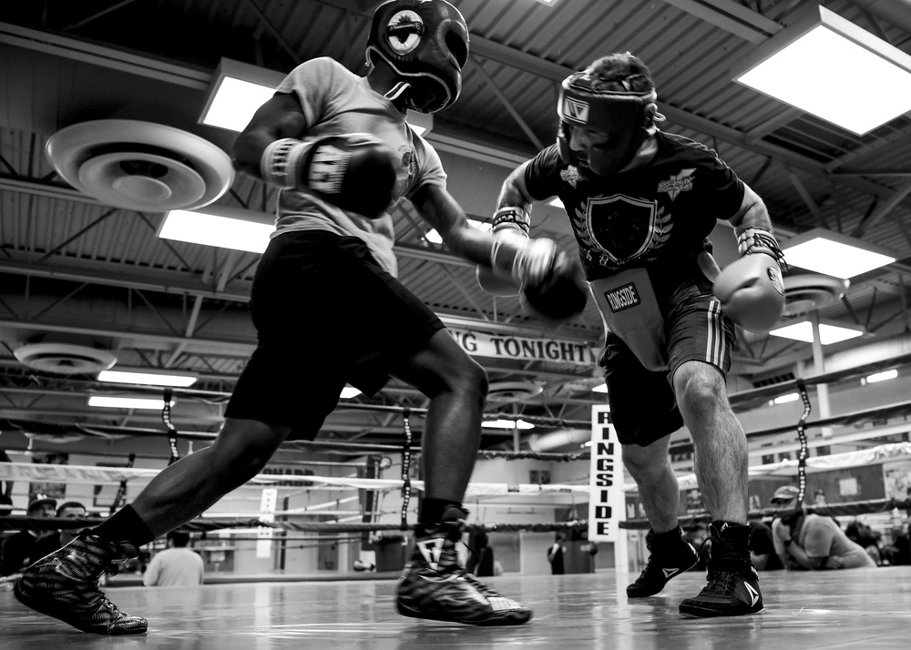 Allison returns to the ring for victory