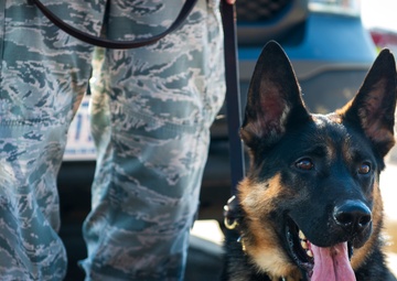 Team Buckley remembers victims of 9/11