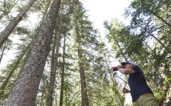 Annual awards gone wild