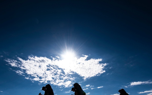 Annual awards gone wild