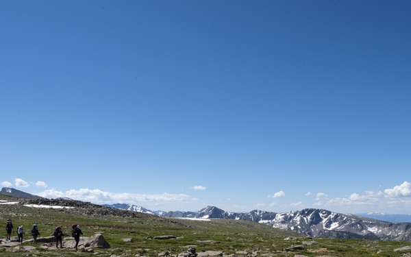 Annual awards gone wild