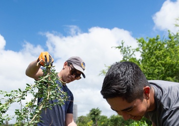 U.S. Navy helps Clean Loko Pa'Aiau Fishpond