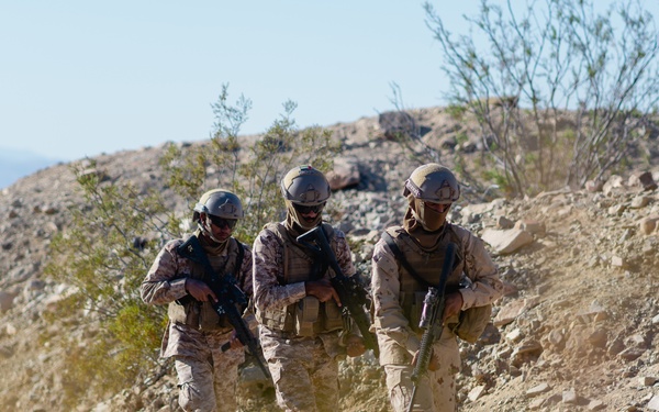 MCAGCC Trains U.S. Allies as Warfighters