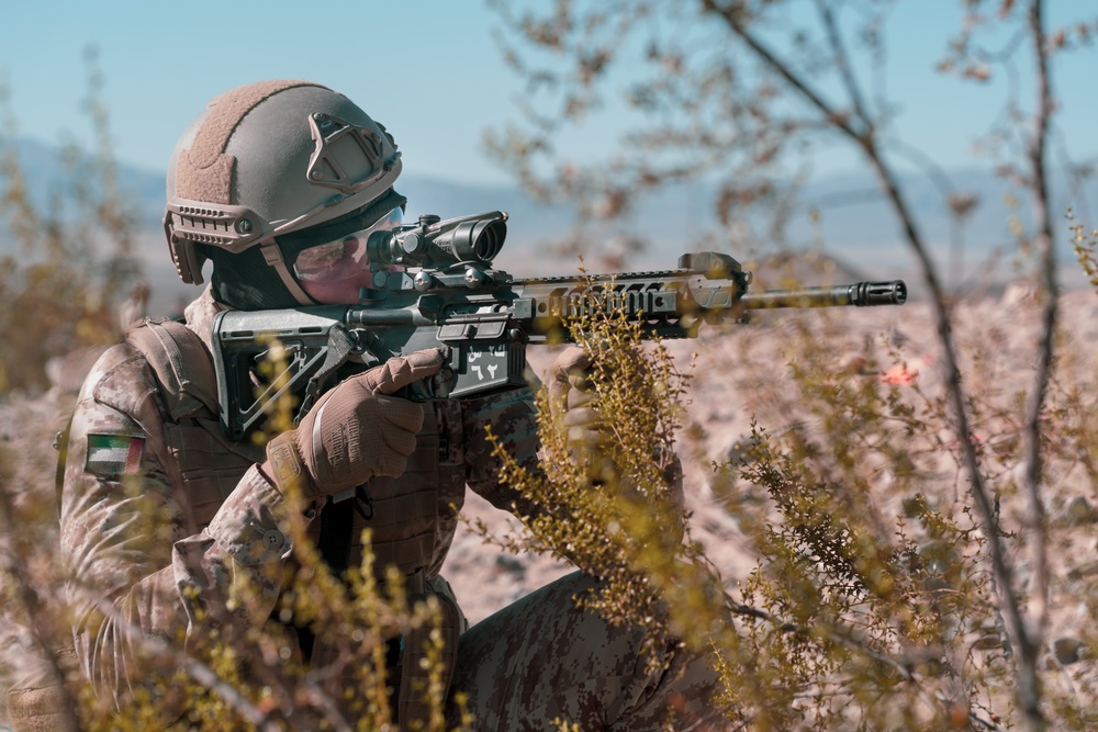 MCAGCC Trains U.S. Allies as Warfighters
