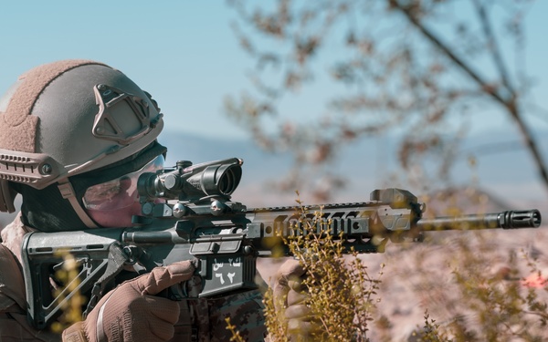 MCAGCC Trains U.S. Allies as Warfighters