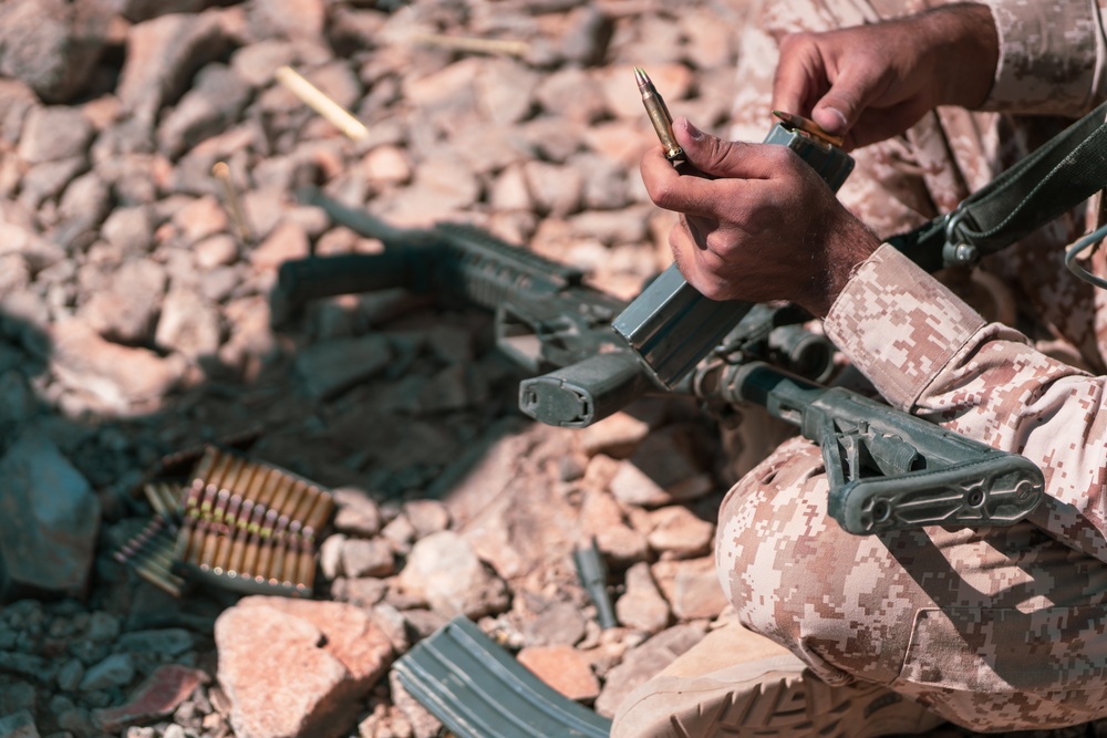MCAGCC Trains U.S. Allies as Warfighters
